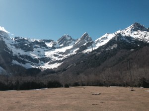 photo(4)