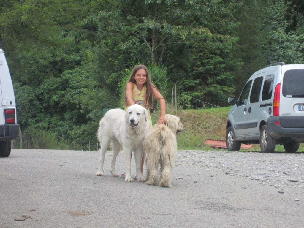 Summer 2015!!!!!!!!!!!!! 543