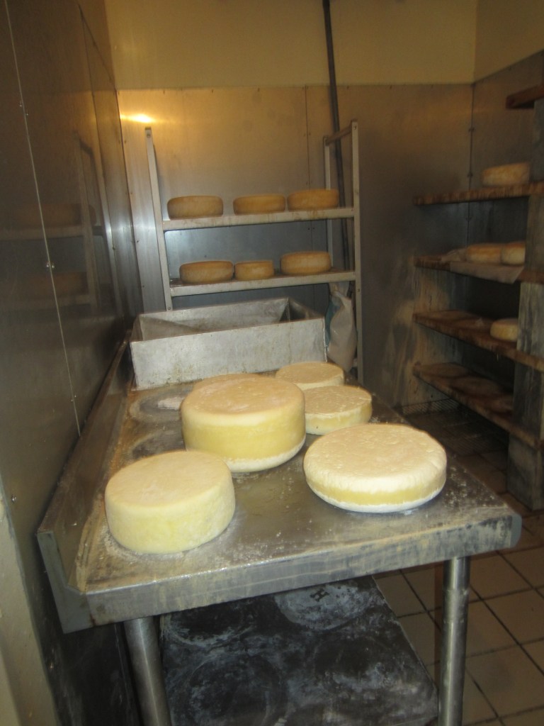 Summer 2015!!!!!!!!!!!!! 544