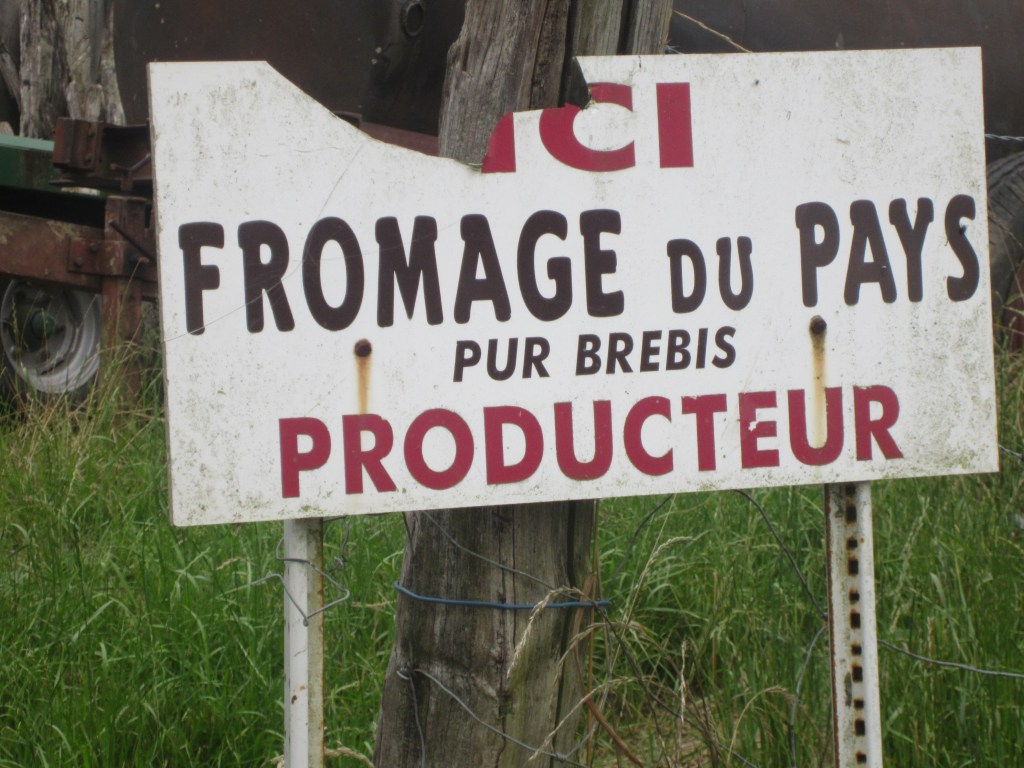 Summer 2015!!!!!!!!!!!!! 545