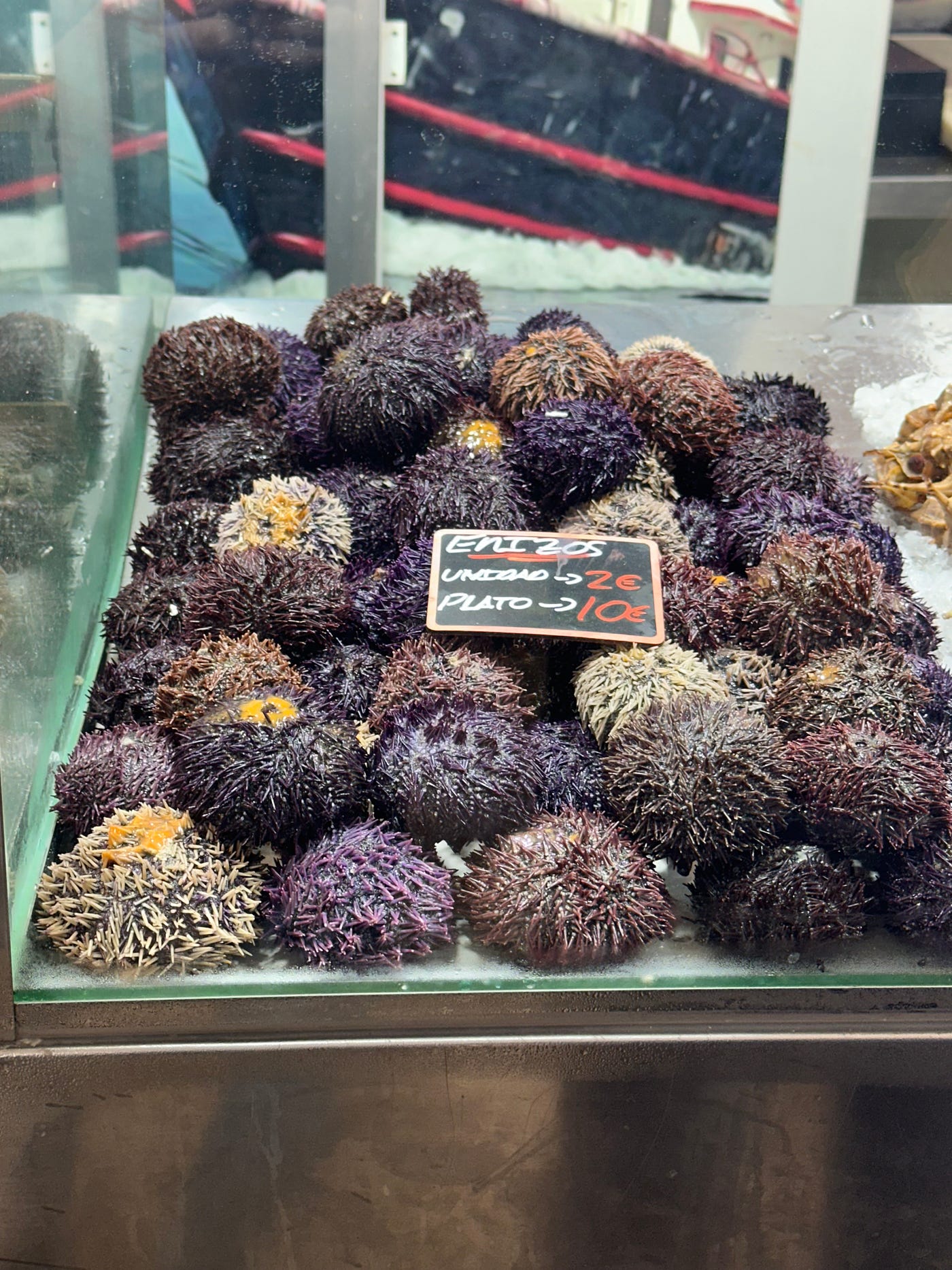 A tank of sea urchins for sale in a Spanish market